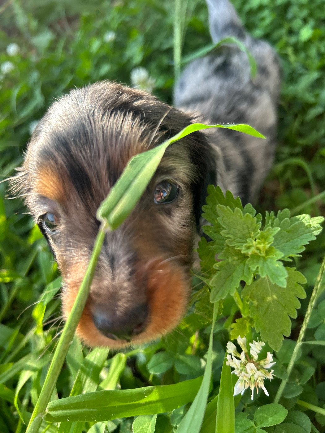 Première sortie pour les 🐾💜 